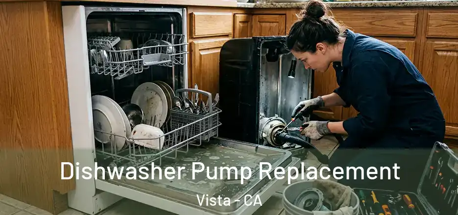  Dishwasher Pump Replacement Vista - CA
