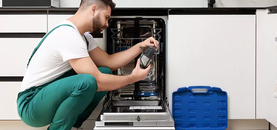 LG Appliance Maintenance and Care in Vista